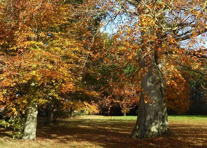 Emmaus Centre Swords